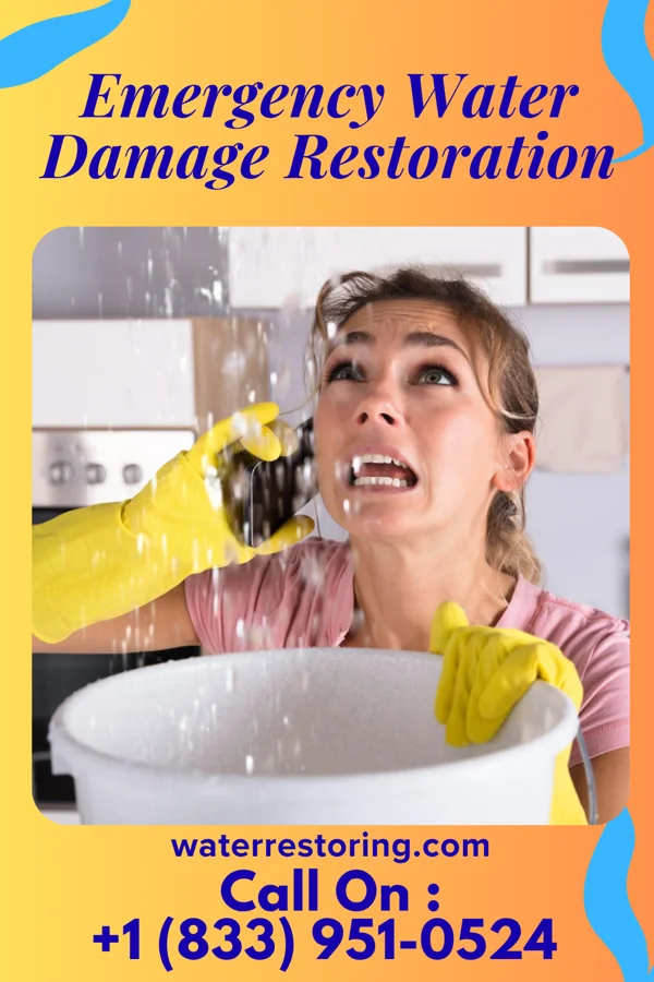 Emergency Water Damage Restoration in Linden, MI