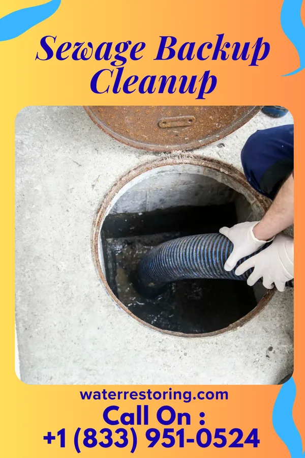 Sewage Backup Cleanup in Linden, MI