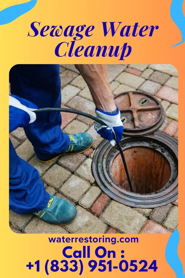 Sewage Water Cleanup in Linden, MI