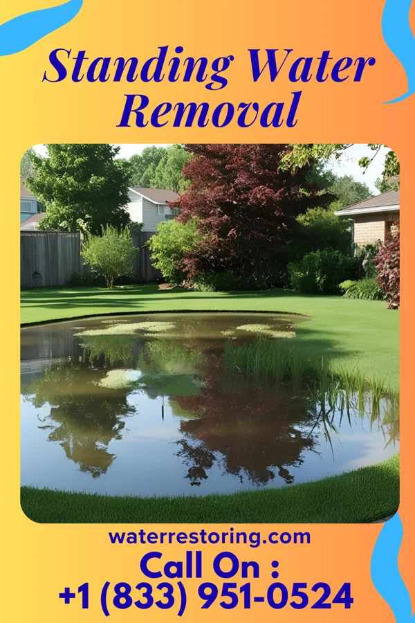 Standing Water Removal in Linden, MI